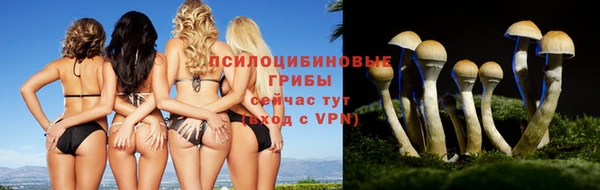 мет Абдулино