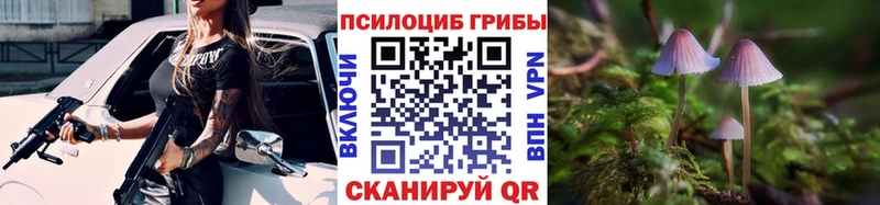 Псилоцибиновые грибы Cubensis Шарья